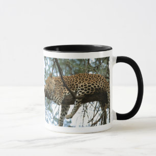 Taza Anillo de leopardo en el árbol