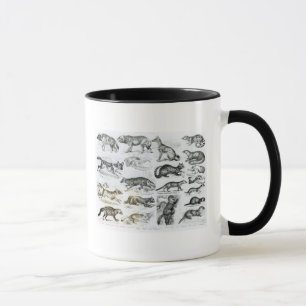 Taza Animales carnívoros
