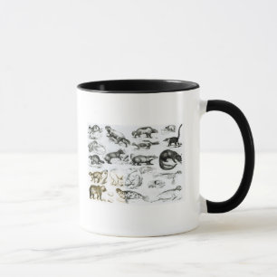 Taza Animales carnívoros