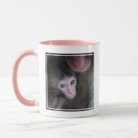Animales de bebé más afectados | Bebé Macaque Mono