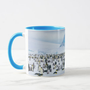 Taza Animales de bebé más afectados   Colonia Emperador