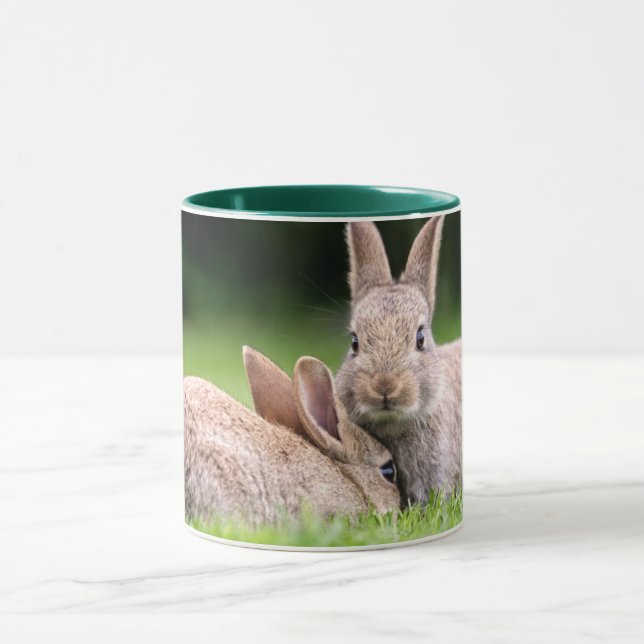 Taza Animales de bebé más afectados | Conejos de conejo (Centro)