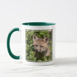 Taza Animales de bebé más afectados   Fox Kit