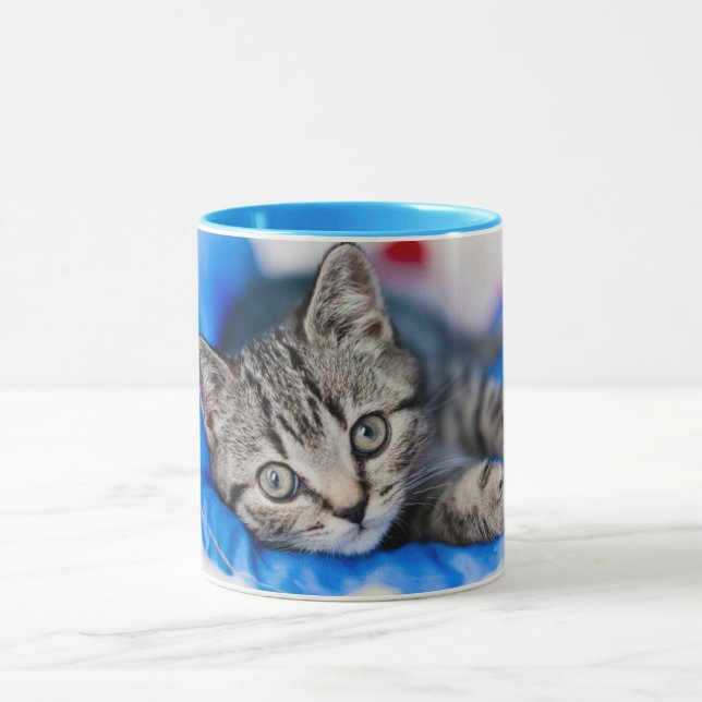 Taza Animales de bebé más afectados | Gatito de Tabby e (Centro)