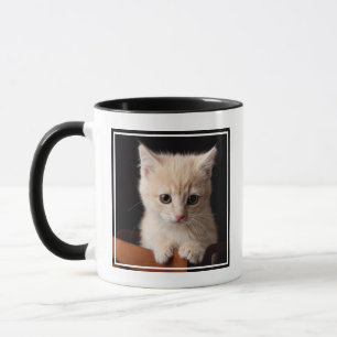 Taza Animales de bebé más afectados   Ginger Kitten