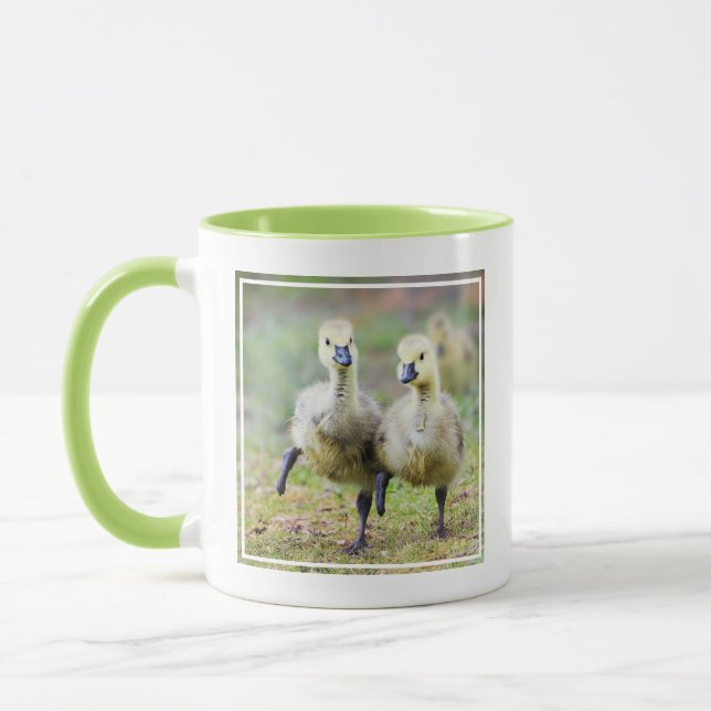 Taza Animales de bebé más afectados | Goslings Canadien (Izquierda)