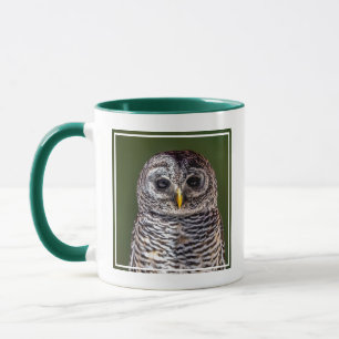 Taza Animales de bebé más afectados Lechuza Tawny