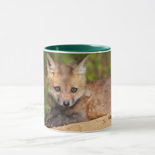 Taza Animales de bebé más afectados Red Fox Pup