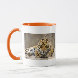 Taza Animales Safari Jungle Office Fiesta Shower Cumple