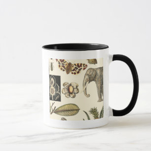 Taza Animales variados pintados de fondo crema