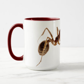 TAZA ANT MUGS