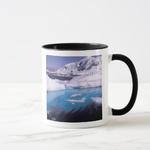 Taza Antártida. Expedición a través de paisajes de hiel