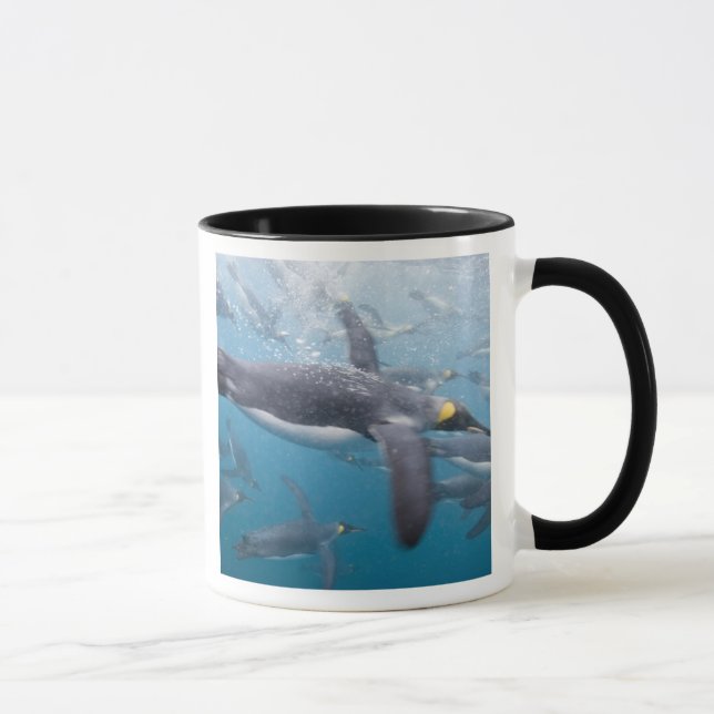 Taza Antártida, Isla de Georgia del Sur Reino Unido (Derecha)