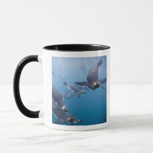 Taza Antártida, Isla Georgia del Sur (Reino Unido), 2