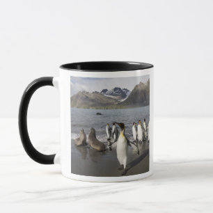 Taza Antártida, Isla Georgia del Sur (Reino Unido), Ant