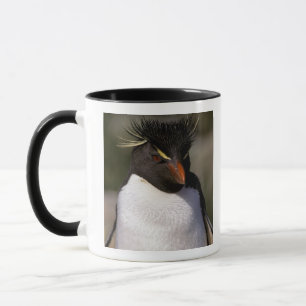 Taza Antártida, Islas Subantárticas, Sur 5