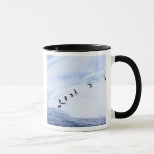 Taza Antártida, Península Antártica. Chinstrap