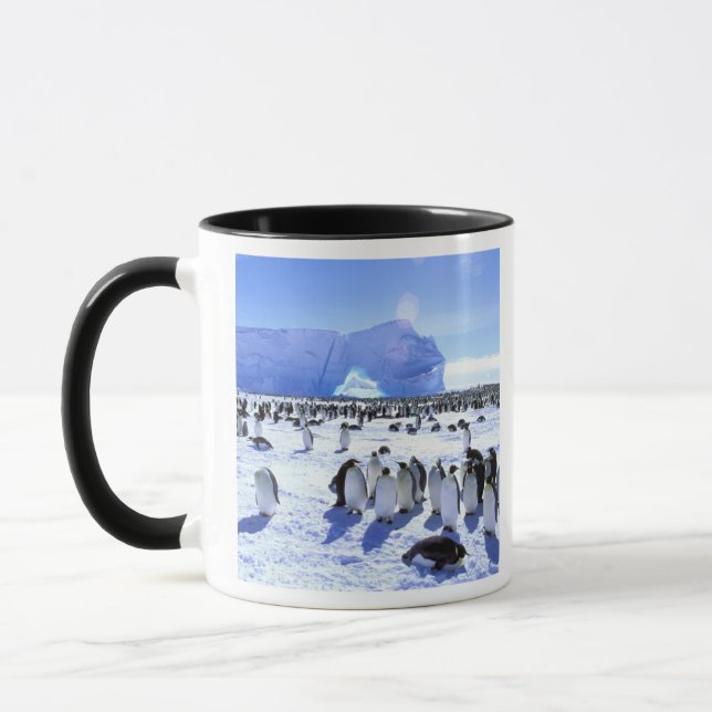 Taza Antártida, Península Antártica, Mar de Weddell, 5 (Izquierda)