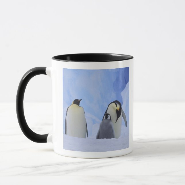 Taza Antártida. Pingüinos emperador y cría (Izquierda)