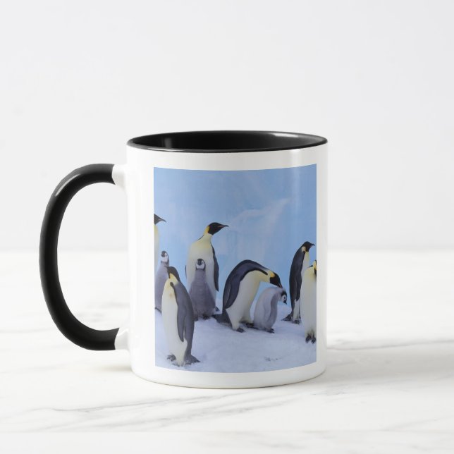 Taza Antártida, Pingüinos Emperadores (Izquierda)