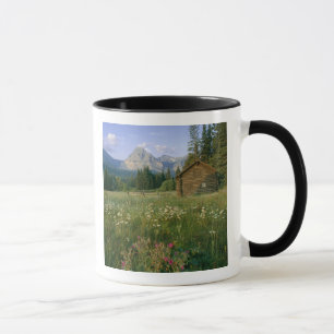 Taza Antigua cabaña del Servicio de Parques en el valle