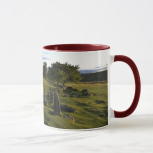 Taza antigua del acuerdo de Dartmoor