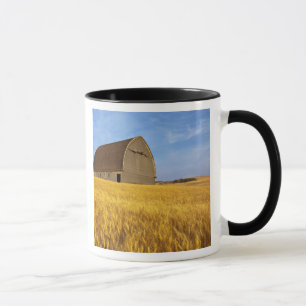 Taza Antiguo granero rústico en un campo de trigo madur