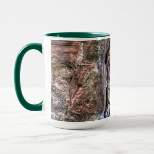 Taza Antiguos lugares históricos, ruinas de castillo de