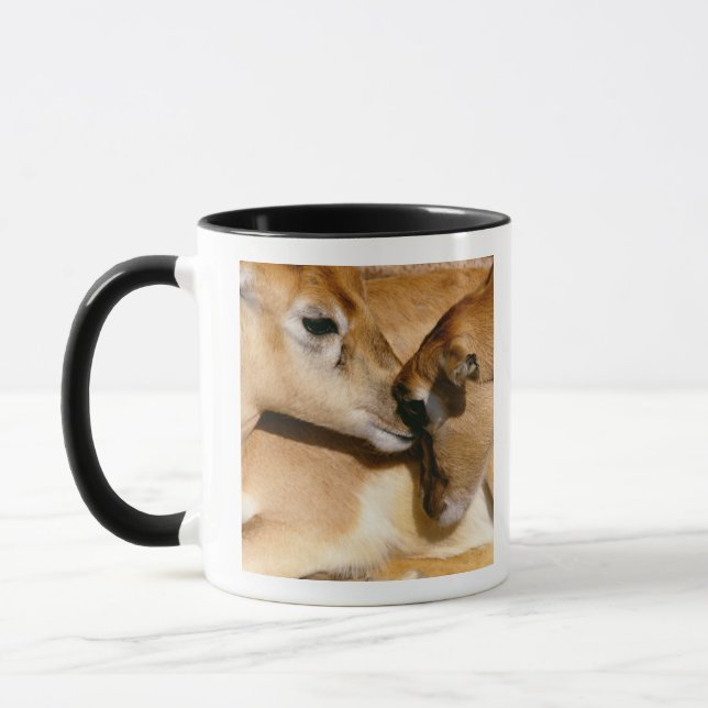 Taza Antílope y cervatillo africanos (Izquierda)