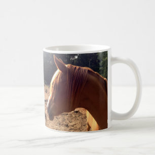 Taza árabe del caballo
