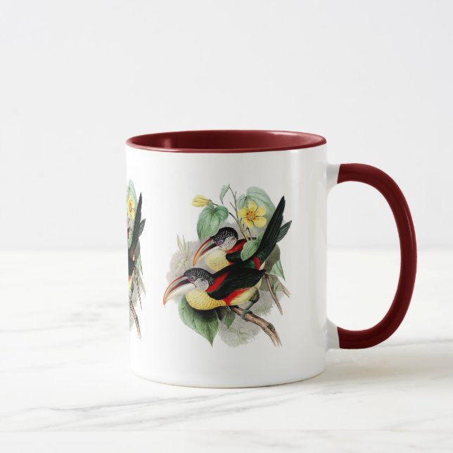 Taza Aracari Rizado-con cresta (Derecha)