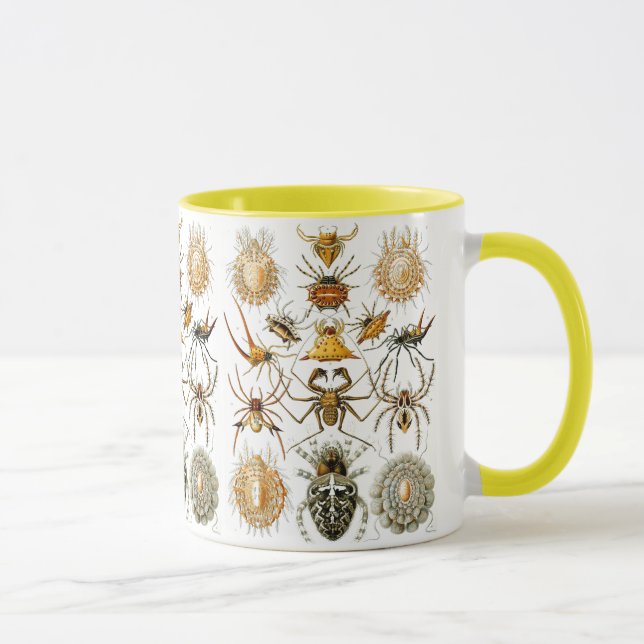 Taza Arachnida (Spiders) Ernst Haeckel Bella Artes (Derecha)