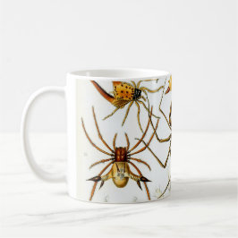 Taza Arañas o arácnidos de Ernst Haeckel