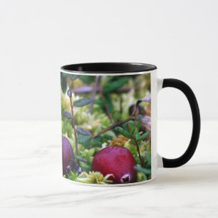 Taza Arándanos
