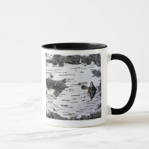 Taza Árbol de abedul en el bosque, detalle, con el