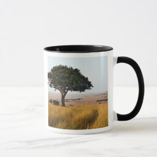 Taza Árbol de acacia simple en llanuras de hierba, Mas