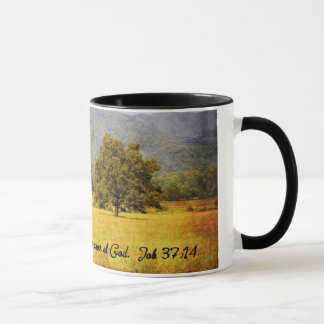 Taza - árbol de la ensenada de Cades - todavía