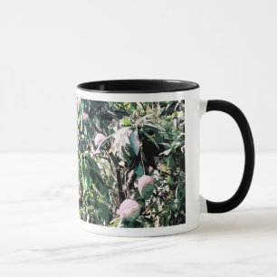 Taza Árbol de mango