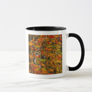 Taza Árbol de zumaque en color de otoño en Whitefish,