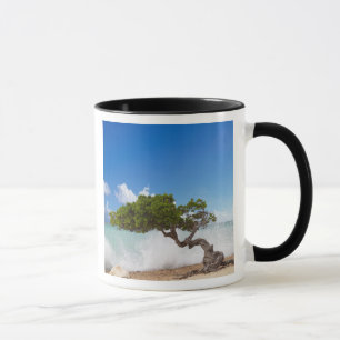 Taza Árbol Divi Divi, Playa Eagle, Aruba, Caribe