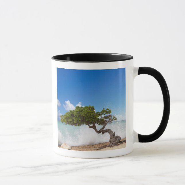 Taza Árbol Divi, Eagle Beach, Aruba, Caribe (Derecha)