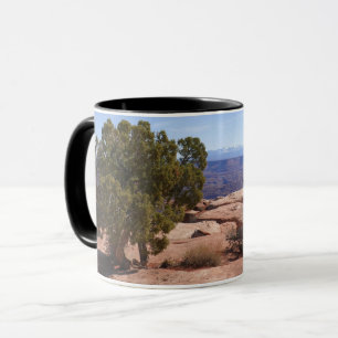Taza Árbol fuera de Red Rocks II en Canyonlands
