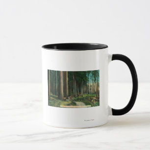 Taza Arbolado SceneEugene, O