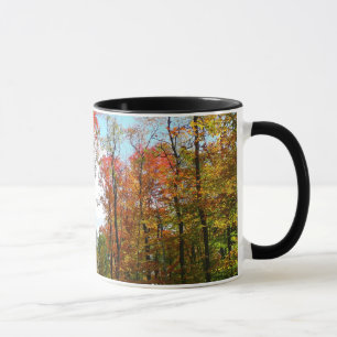Taza Árboles caídos y fotografía de la naturaleza otoña