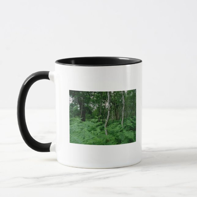 Taza Árboles de abedul de plata y helechos, bosque de (Izquierda)