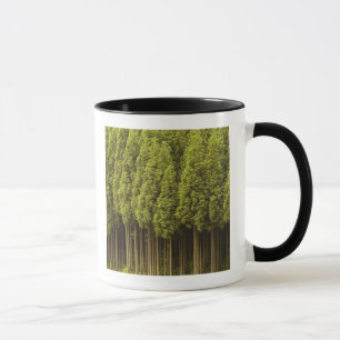 Taza Árboles de cedro de Koya Sugi