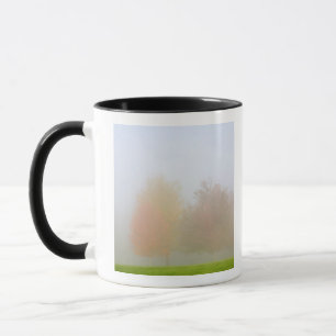 Taza Árboles de la caída cubiertos en niebla