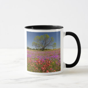 Taza Árboles de mezquite de primavera creciendo en flor