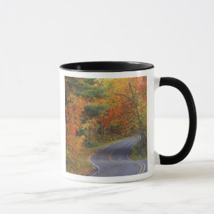 Taza Árboles de otoño alinean la carretera en Itasca St