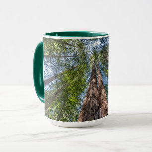 Taza Árboles de secoya Condado de Marin, California